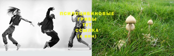 a pvp Верея