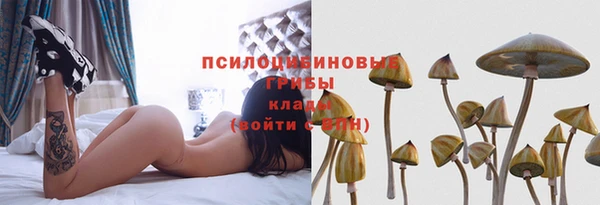 МДПВ Бронницы