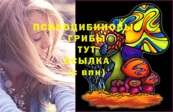 а пвп мука Бугульма