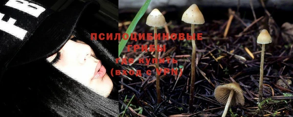 бутират Бородино
